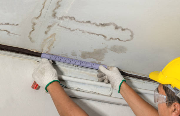 Reliable Burst Pipe Cleanup contractor in Seattle, WA by Water Damage Irwin